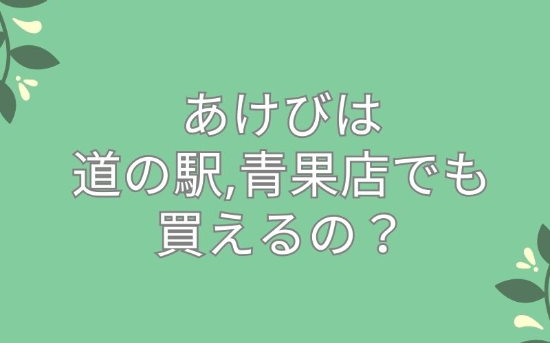 あけびは道の駅,青果店でも買えるの?