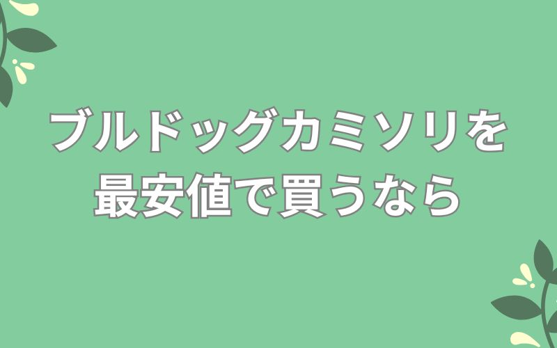 ブルドッグカミソリを最安値で買うなら
