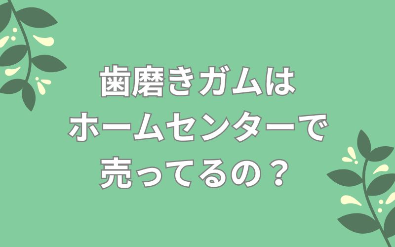 歯磨きガムはホームセンターで売ってるの?