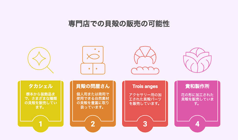 専門店での貝殻の販売の可能性