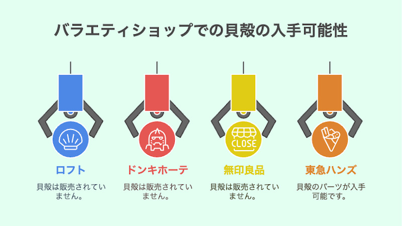 バラエティショップでの貝殻の入手可能性