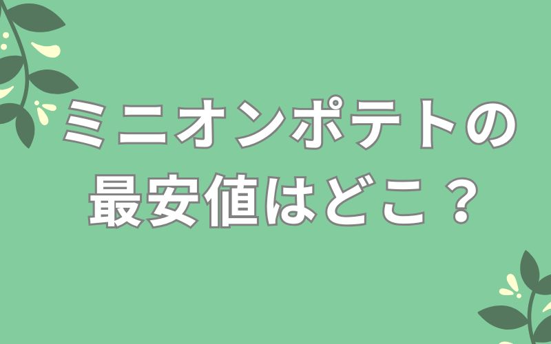 ミニオンポテトの最安値はどこ?