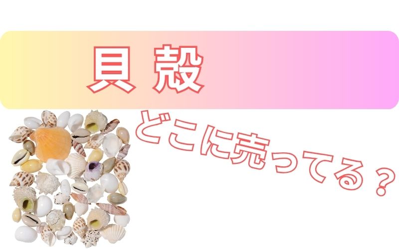 貝殻どこに売ってる